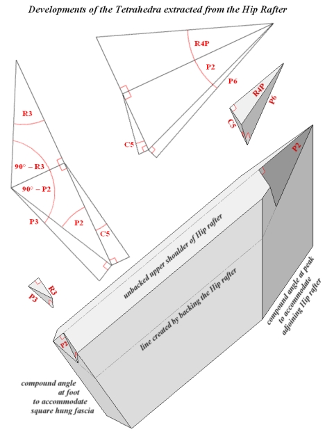 Developments of Tetrahedra extracted from the Hip Rafter
