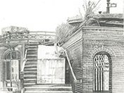 scene-5-thumbnail