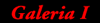 Galeria I / Gallery I