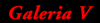 Galeria V / Gallery V