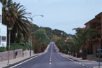 Paseo de Palmeras