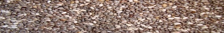 :. Comercio de Semillas de Chia .: