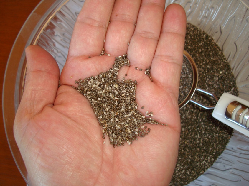 :. Comercio de Semillas de Chia .: