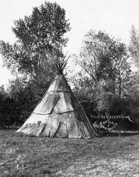 tipi indio