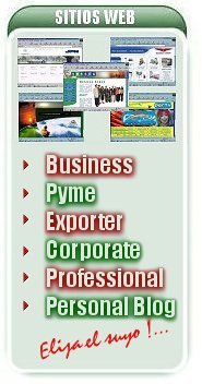 Dise�o de Sitios Web para empresas: negocios, business, PYME, exporter, corporate,professional,blog 