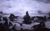 cape-cross02.jpg (58648 bytes)