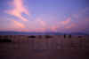 sunset-rosa.jpg (34521 bytes)