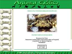 Animal Ex&oacute;tico