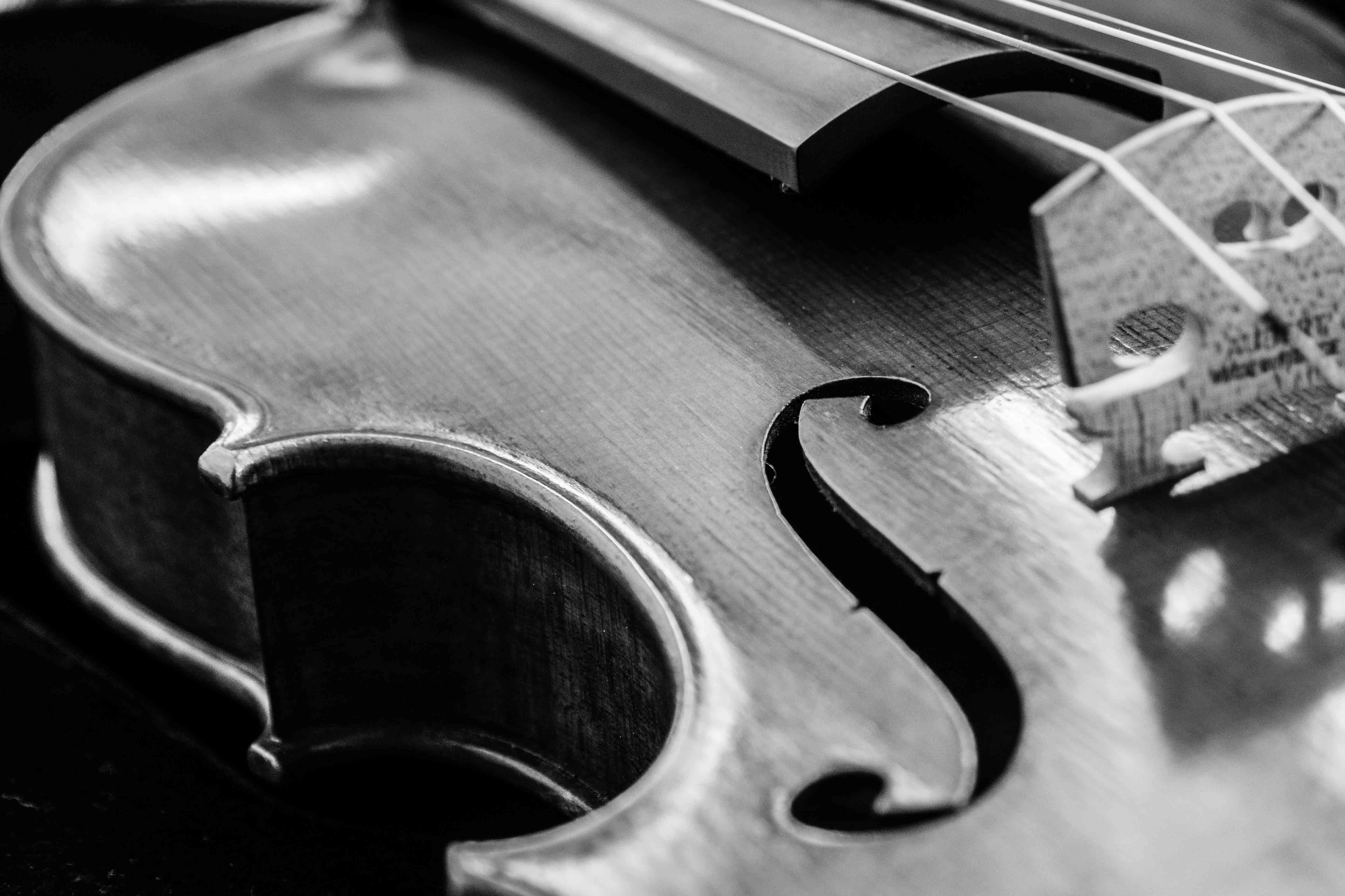Violin