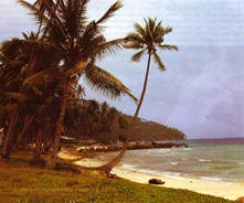 Beach at Pulau Pemanggil