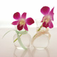 charming glass vases
