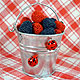 lady bug magnets