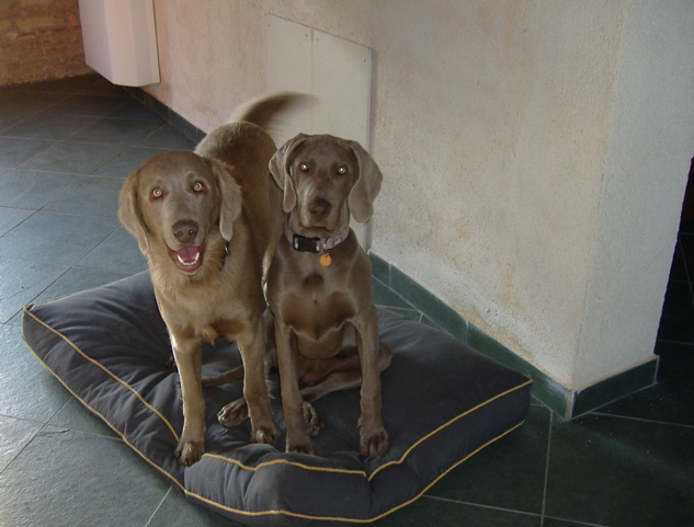 Sissi&Rony (5)