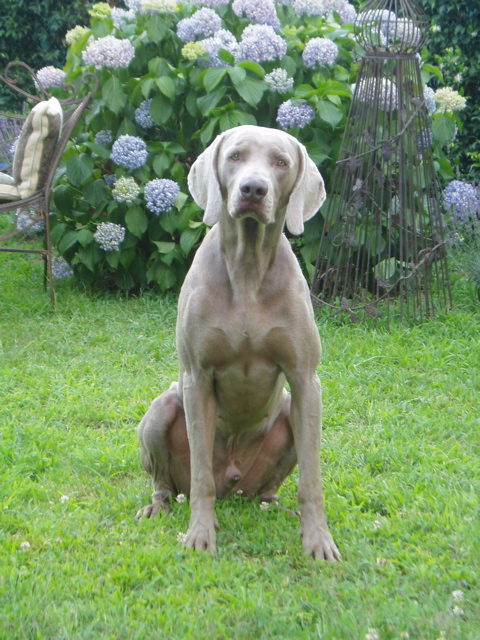 Outis waiting on the ball for playing