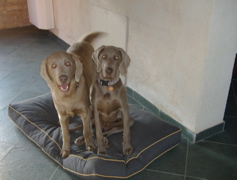 Sissi&Rony (5)