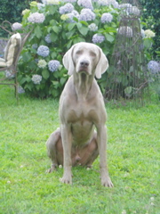 Outis waiting on the ball for playing
