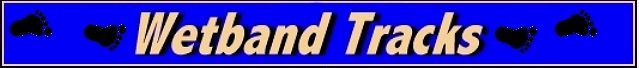 Wetband Homepage