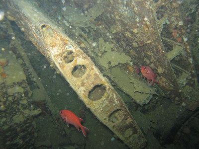 Flugzeugtragfl&auml;chen im Laderaum der Thistlegorm