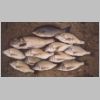 bemm_river_mixed_bag_1_0303.html