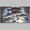 bemm_river_mixed_bag_3_0303.html