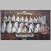 black_rock_pinkies_2_0200.html