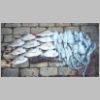 black_rock_pinkies_and_squid_0601.html