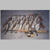 black_rock_whiting_1_1099.html