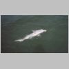 corinella_fish_on_0303.html