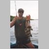 darwin_estuary_cod_0499.html