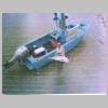 darwin_jewfish_1_0499.html