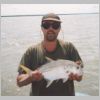 darwin_trevally_0499.html