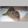 mallacoota_flathead_3_0203.html