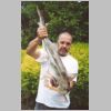 rhyll_elephant_shark_2_0203.html