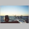 savage_kestral_4.18_5.html