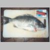 tambo_river_bream_2_0696.html