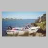 tambo_river_bream__0402.html