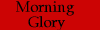 morning glory