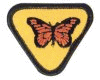 Naturalist Badge