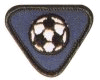 Team Player Badge