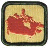 World Citizen Badge