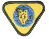 World Cubbing Badge