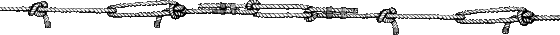 scoutingline2.gif (1389 bytes)