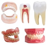 will teeth whitening work on dentures