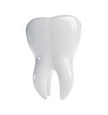white teeth summary