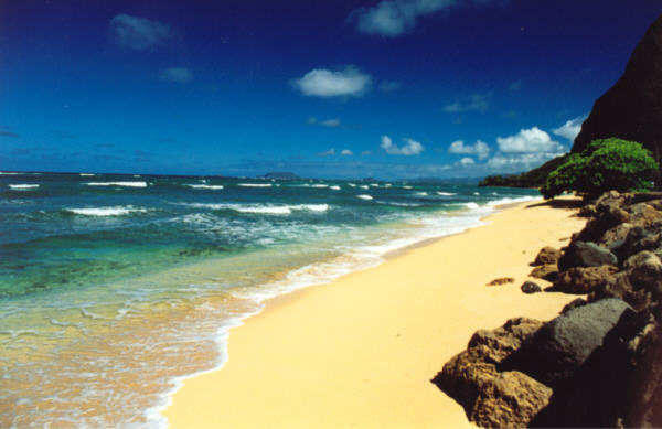 www.nbhtravel.com