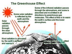 http://www.epa.gov/
