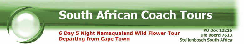 6 Day 5 Night Namaqualand Wild Flower Coach Tour