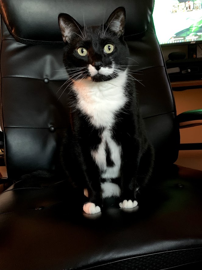 socks
