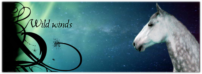 Click to enter Wild Winds.