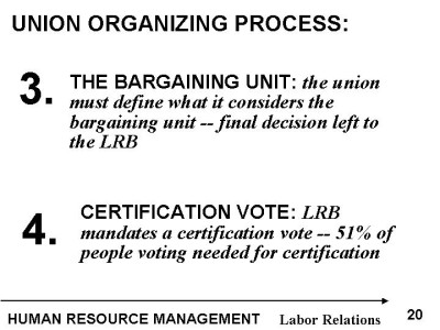 Slide20.jpg